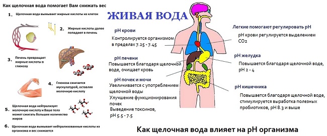  Свойства на живата вода