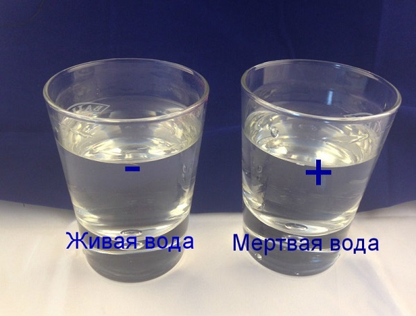 Живи и мъртви води