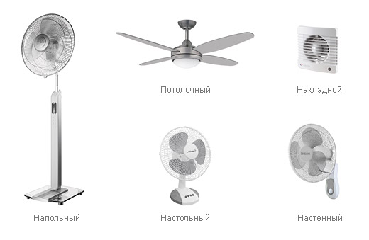  Видове фенове