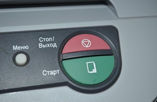  Бутон 
