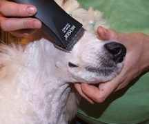  Машина за подстригване на кучета