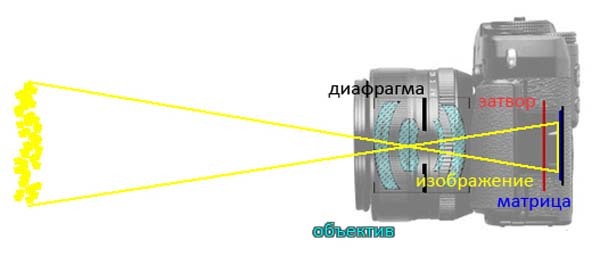 Принципът на камерата