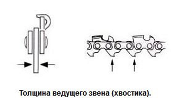  Дебелина на опашката