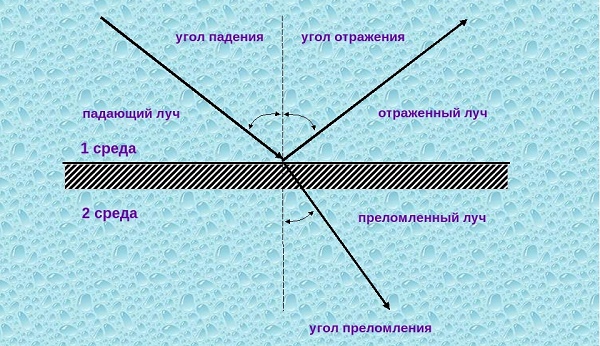 Светлочувствителност