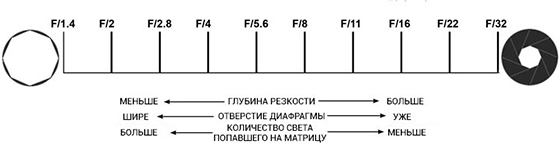 диафрагма