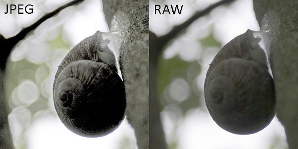 Raw срещу JPEG