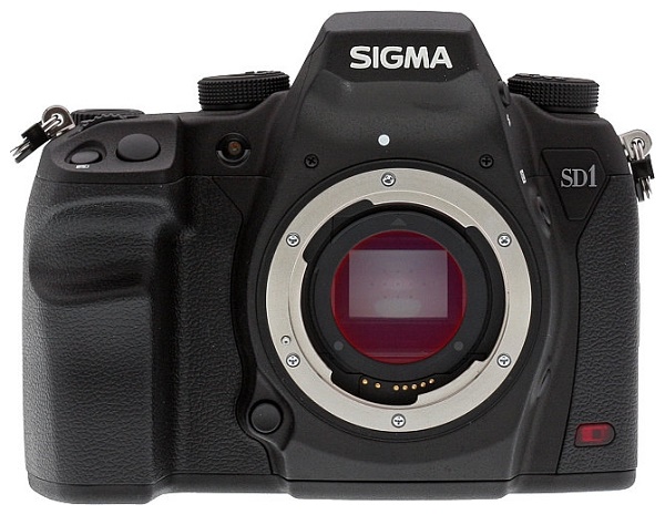 Sigma SD1 Merrill Body