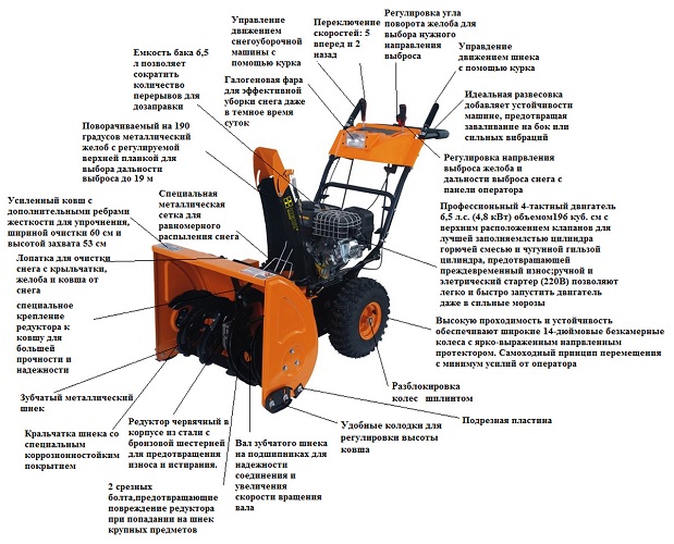 Снегорини
