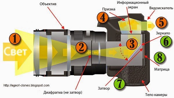 Принципът на работа на SLR камерата