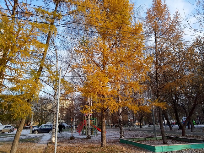 Снимка на дневна светлина