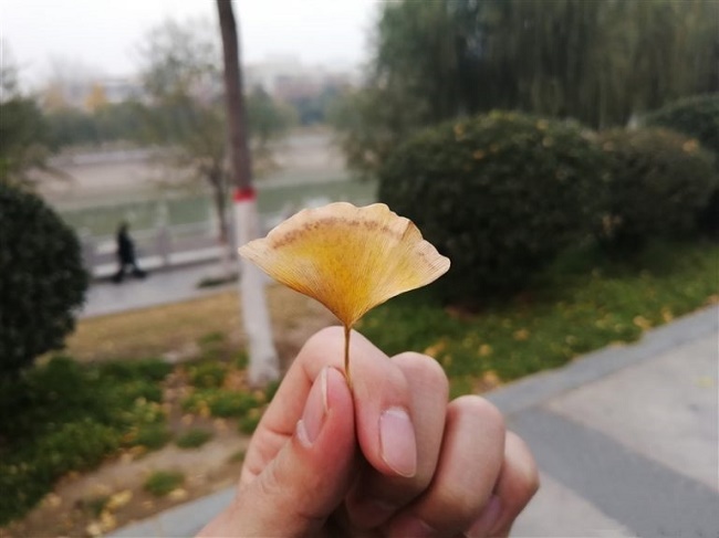 Примерна снимка
