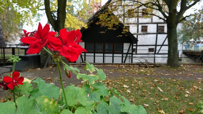 Примерна снимка 1